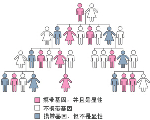 �����ݷ���Ƥ����ҽԺ"